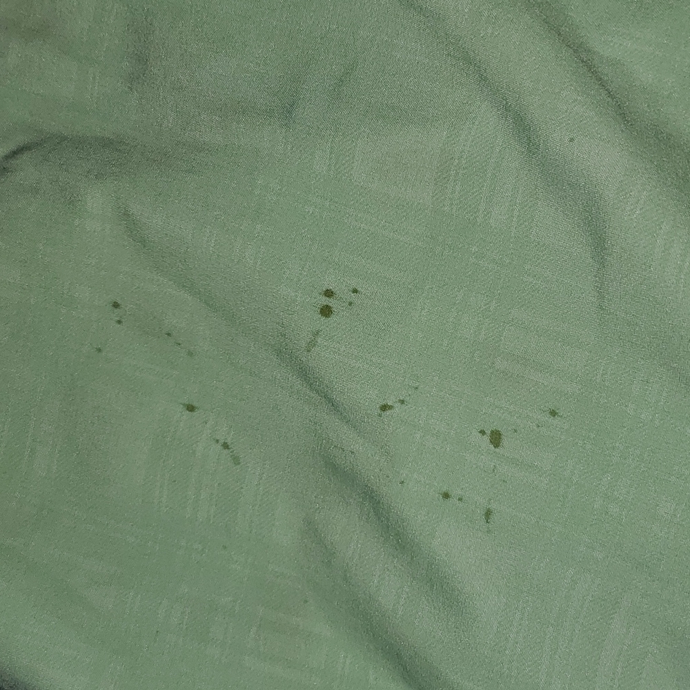 Mint Rssurf Shorts - Picture 3 of 4
